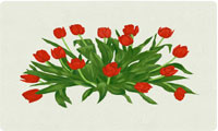 Tulips Box