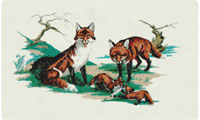 Fox Family