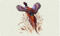 New Pheasant