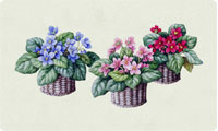 Violet Baskets